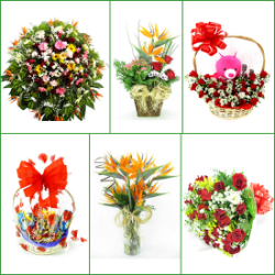 FLORICULTURAS Barão de Cocais cestas de café da manhã e coroas flores